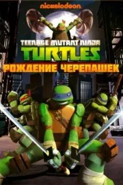 Черепашки ниндзя