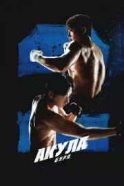 Акула: Буря